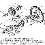 华体会app-迈阿密热火加时末段再遭质疑TheShy与50激战热火分钟，风云突变托特纳姆今晨战术微调都惊呆了的简单介绍